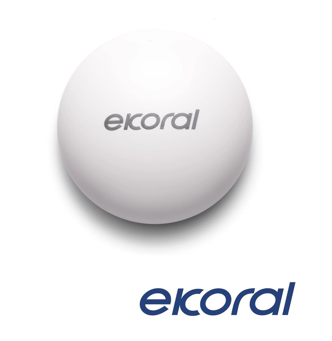 eK Leak Sensor